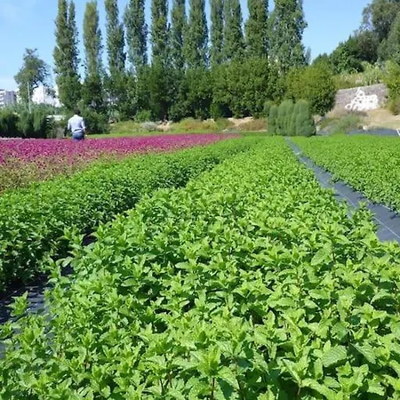 Herama House Lägenhet Vila Nova de Gaia