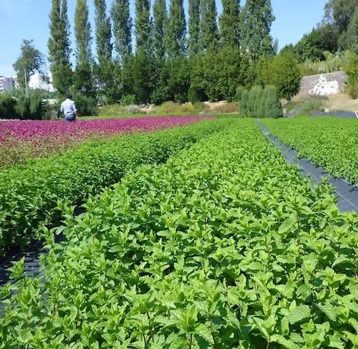 Herama House Apartman Vila Nova de Gaia