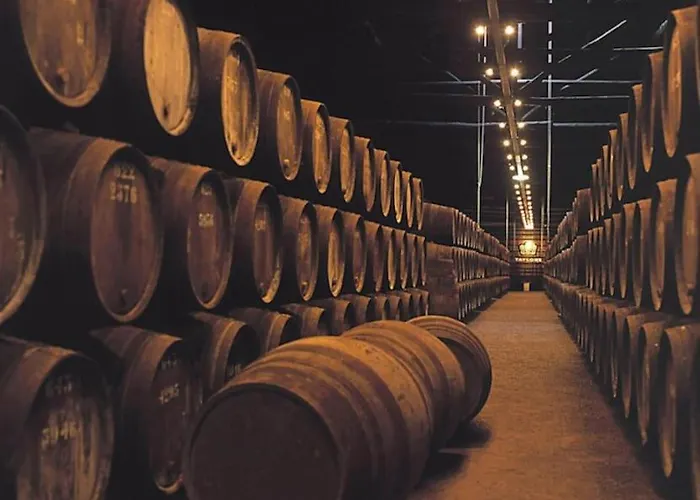 Apartment Herama House Vila Nova de Gaia